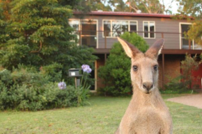 Jan's Retreat by Experience Jervis Bay